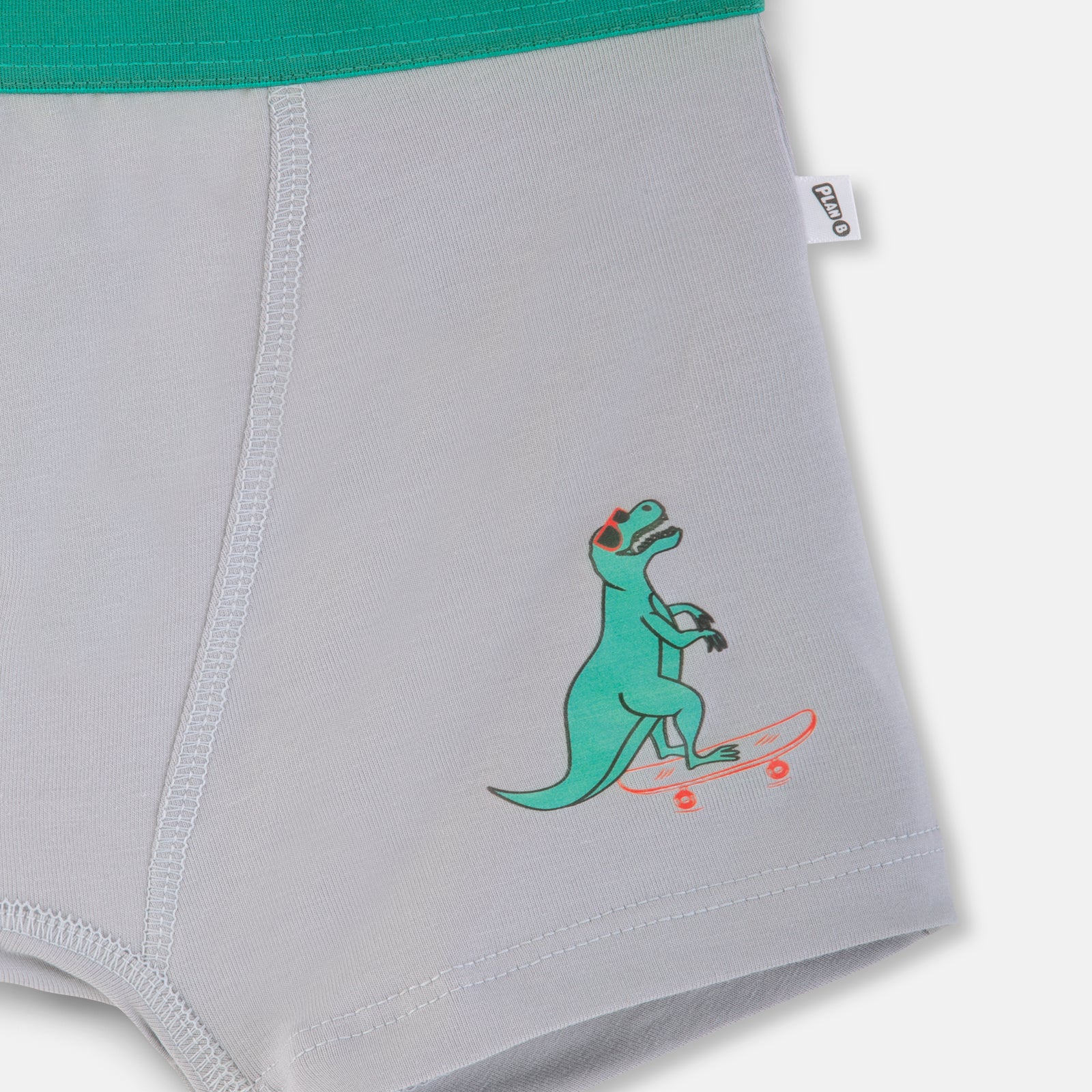 Grey Dino Boy Trunk