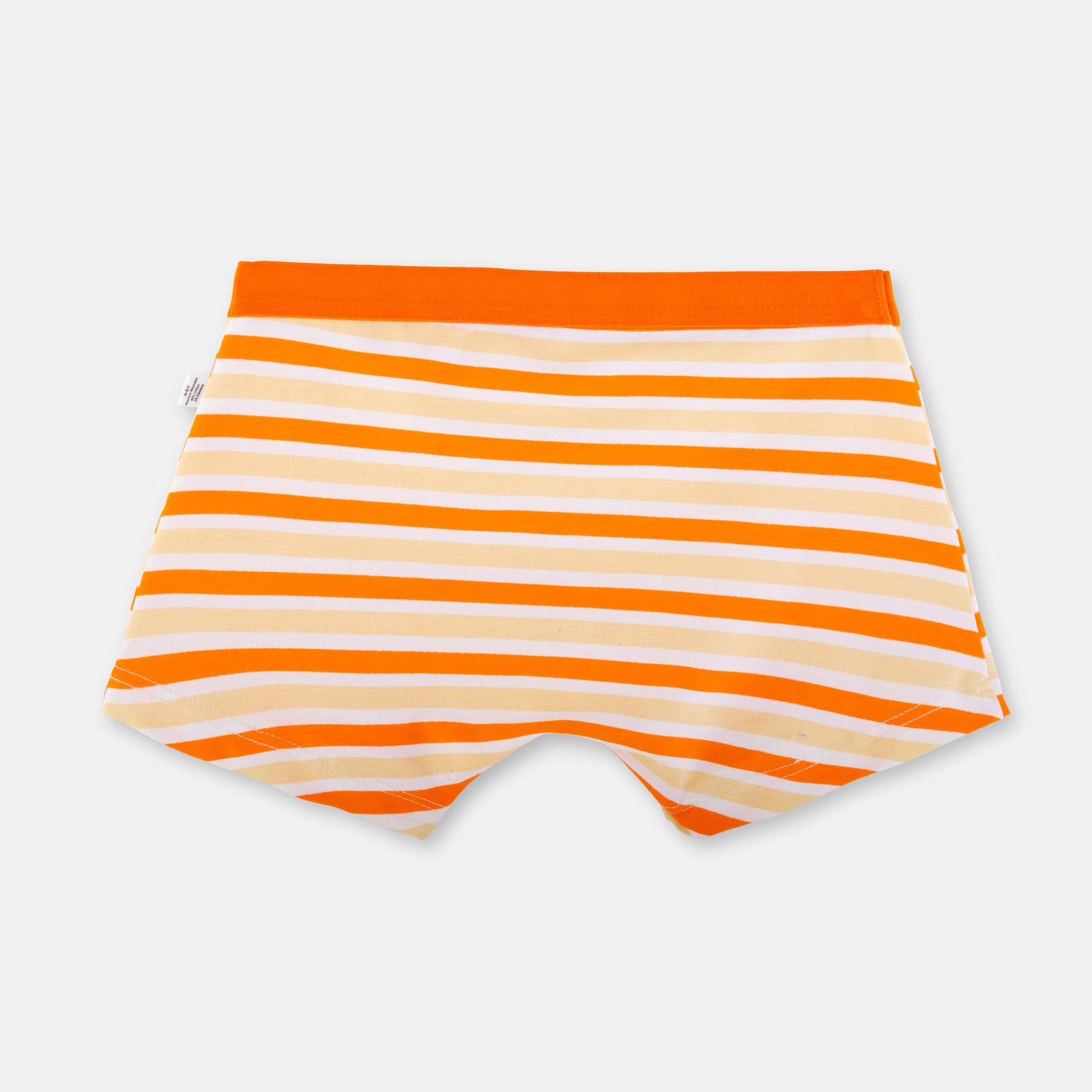 Orange Stripes Boy Trunk