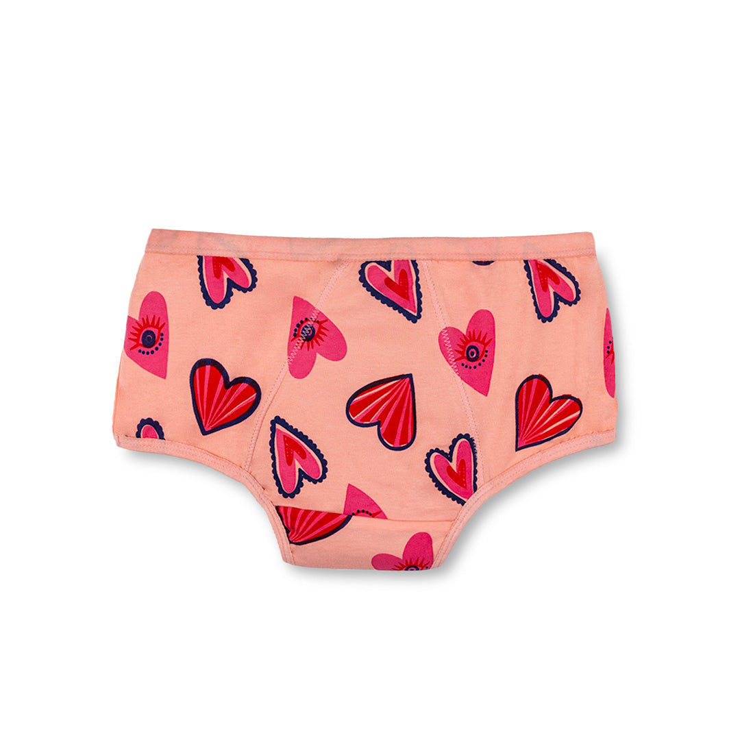 Multi 4-Pack Reusable Spotting Panty (Light Flow)