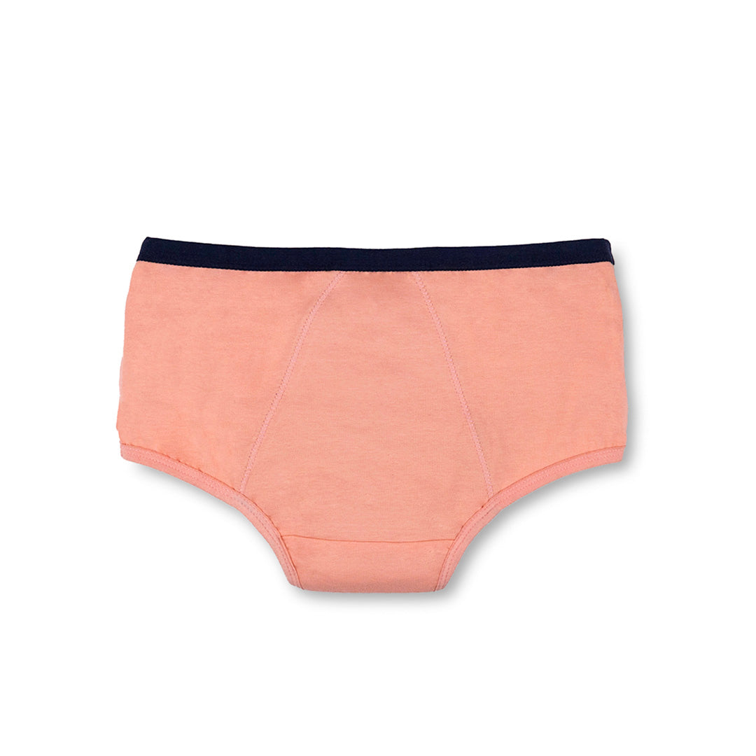 Multi 4-Pack Reusable Spotting Panty (Light Flow)