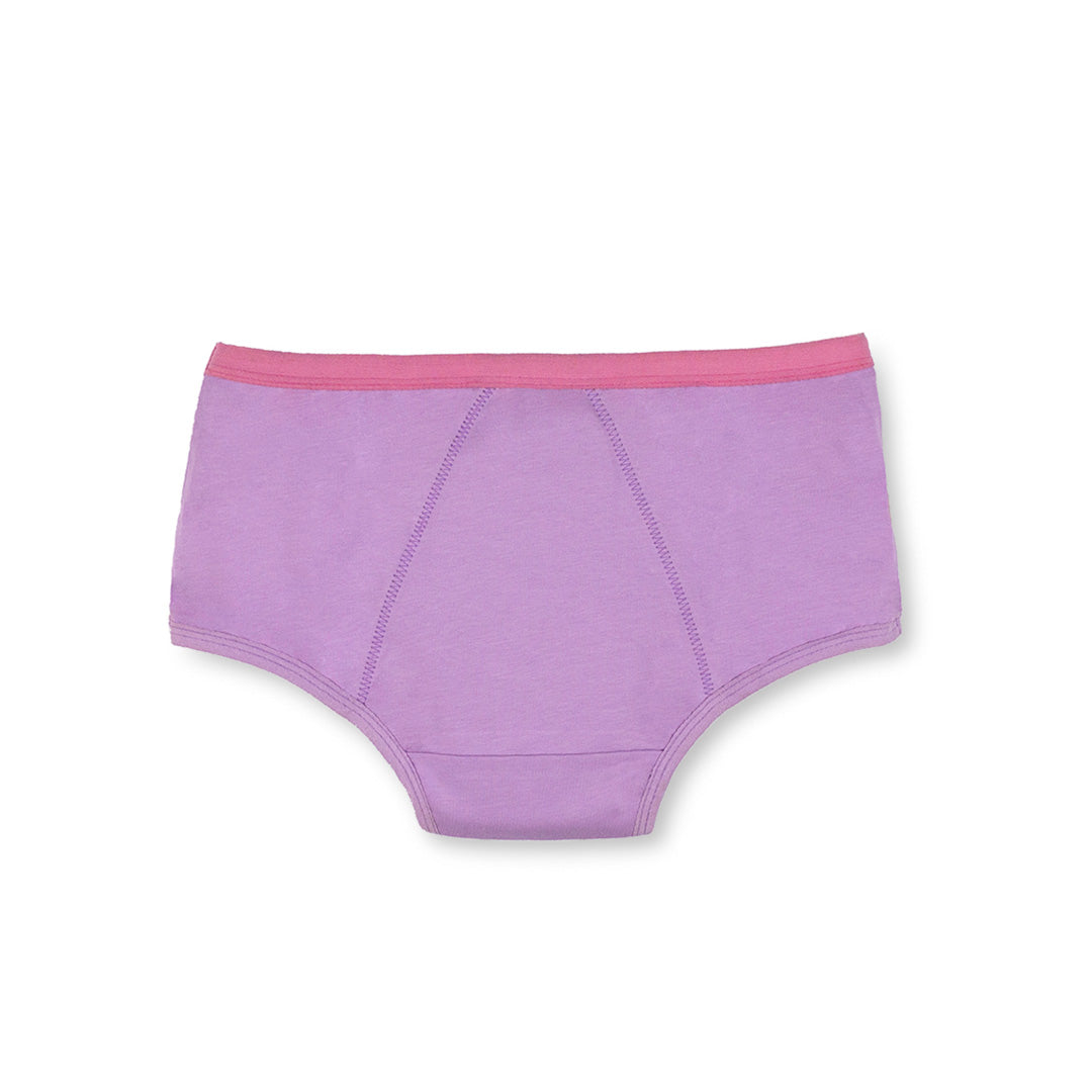 Multi 4-Pack Reusable Spotting Panty (Light Flow)