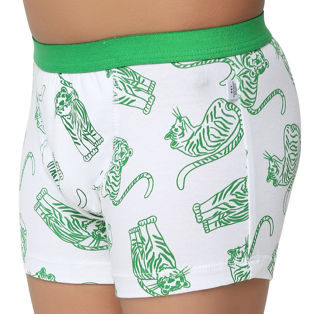 Lil Tiger 3-Pack Boy Trunks