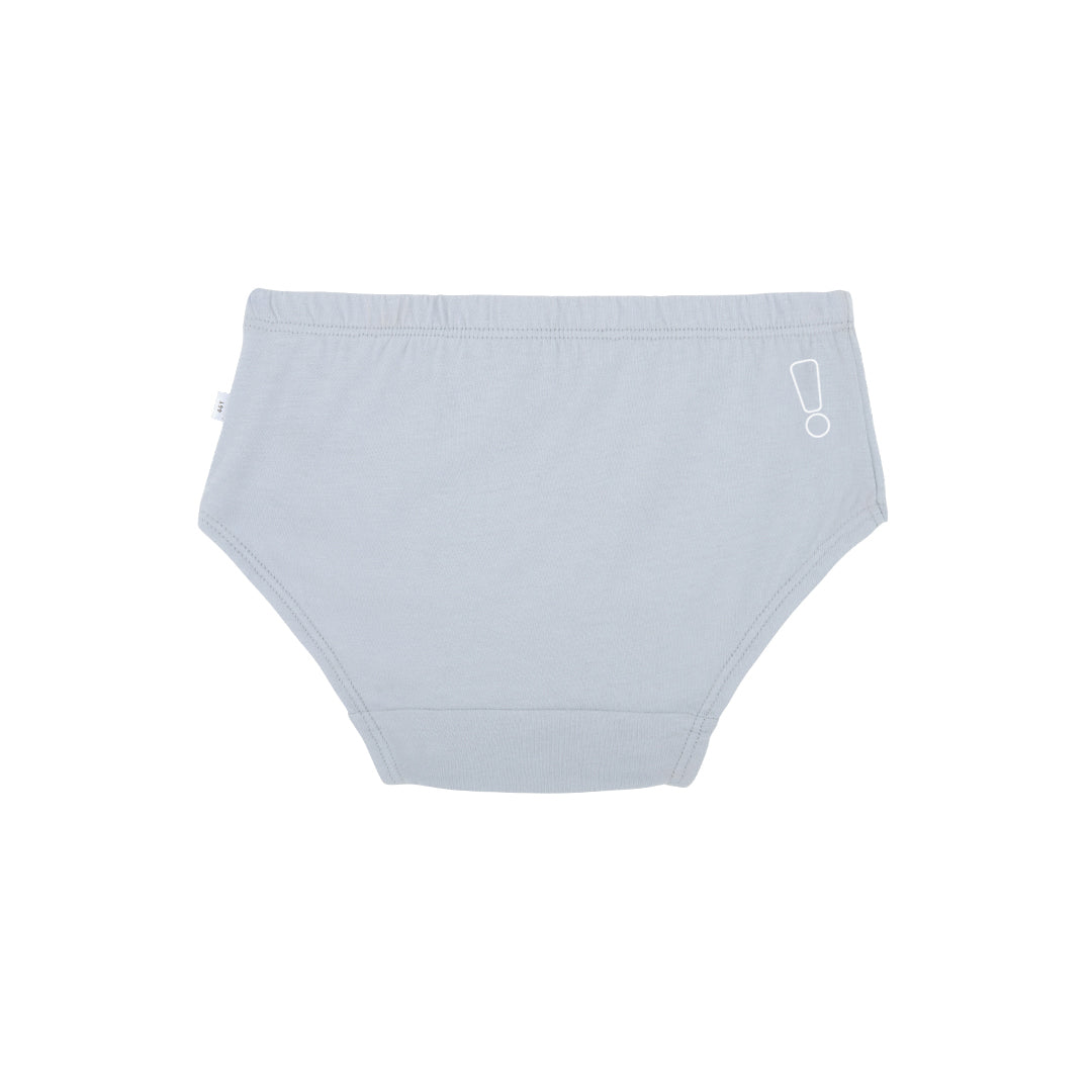 Grey Panty & Camisole Set