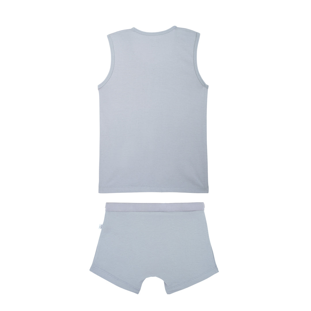 Grey Trunk & Vest Set