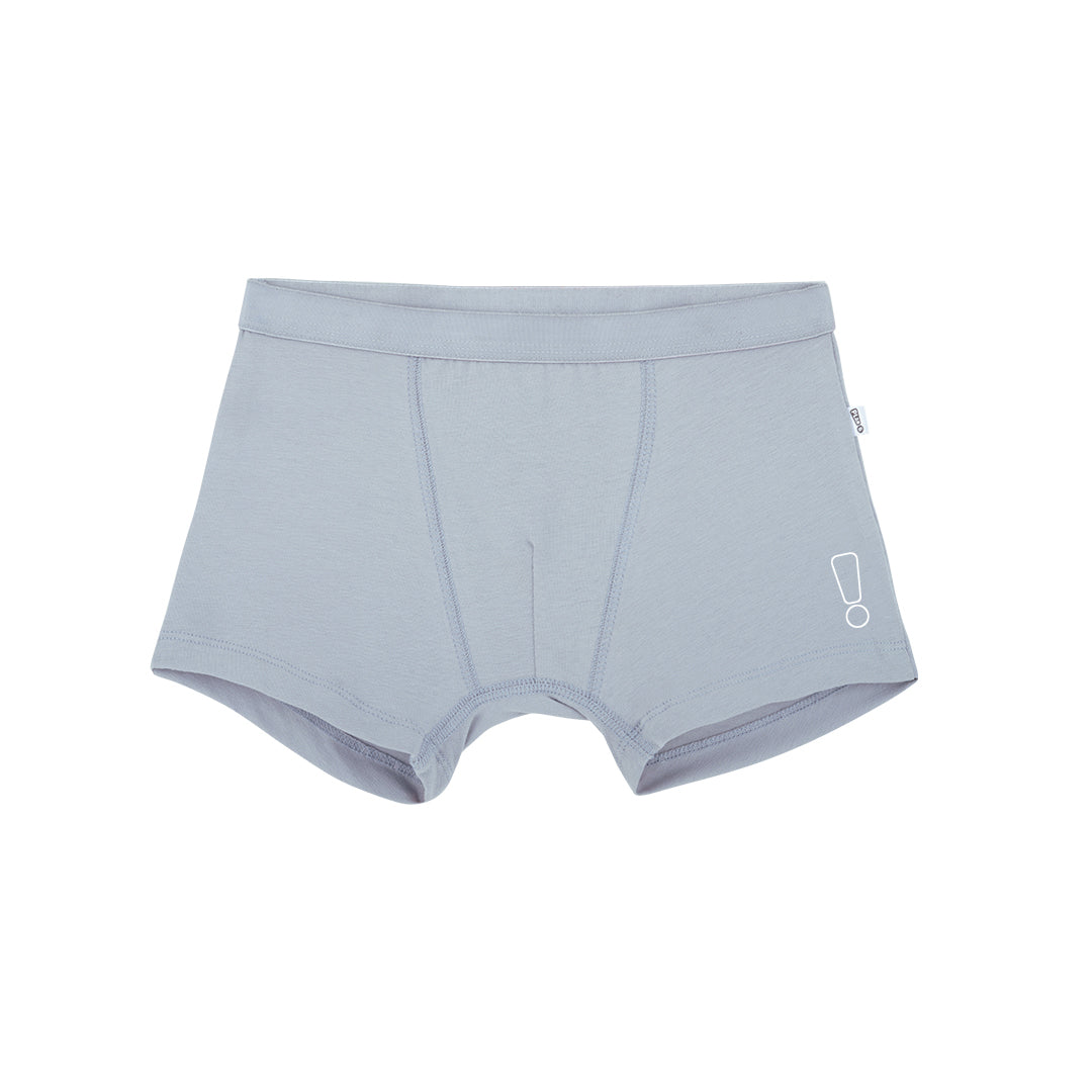 Grey Trunk & Vest Set