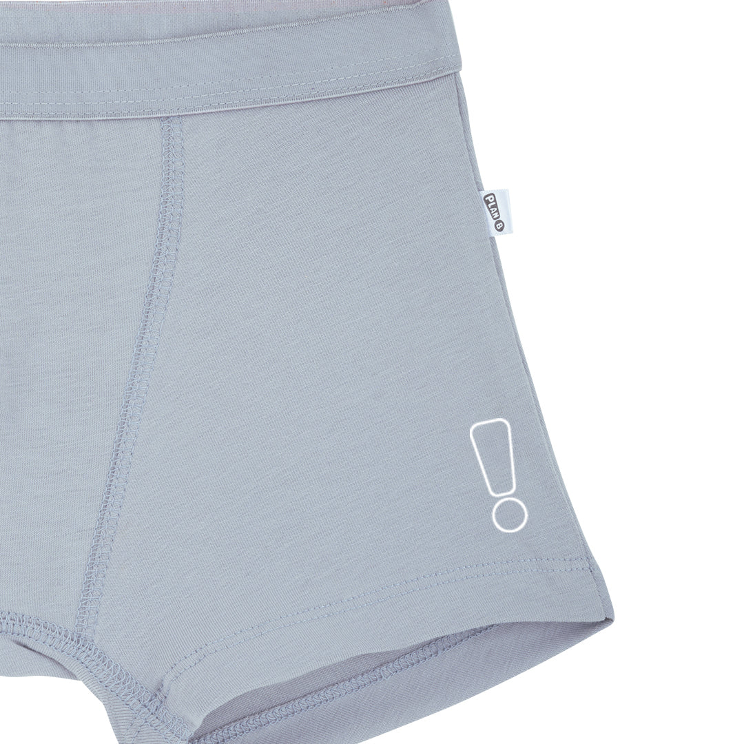 Grey Trunk & Vest Set