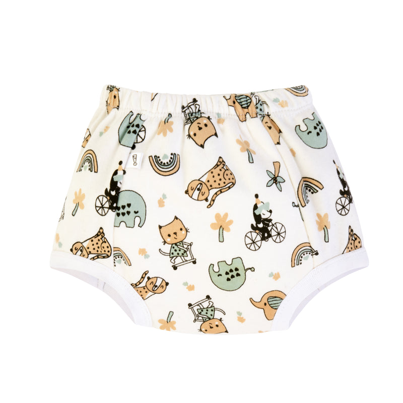 Padded Underwear for Potty Training - 4pack - Birds & Bees