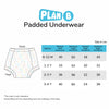 Padded Underwear for Potty Training - 2pack - Birds