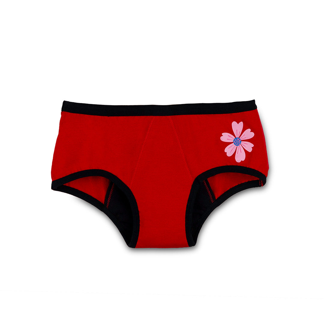 Red & Grey 2-Pack Reusable Period Panty (Heavy Flow)