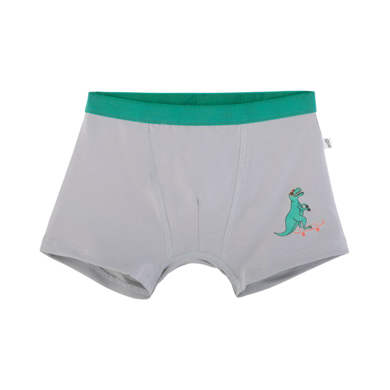 Foxy Dino 4-Pack Boy Trunks