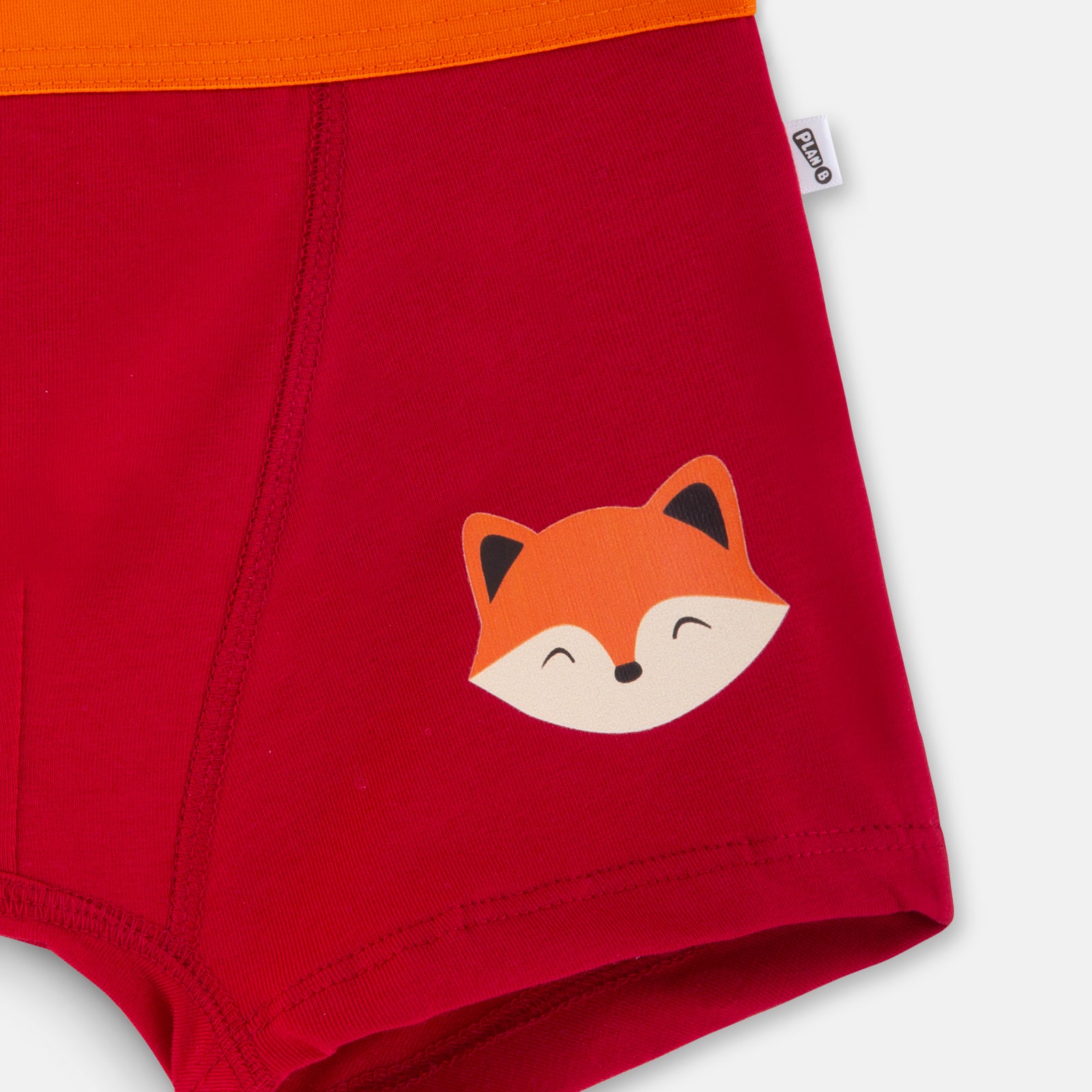 Fox Boy Trunk