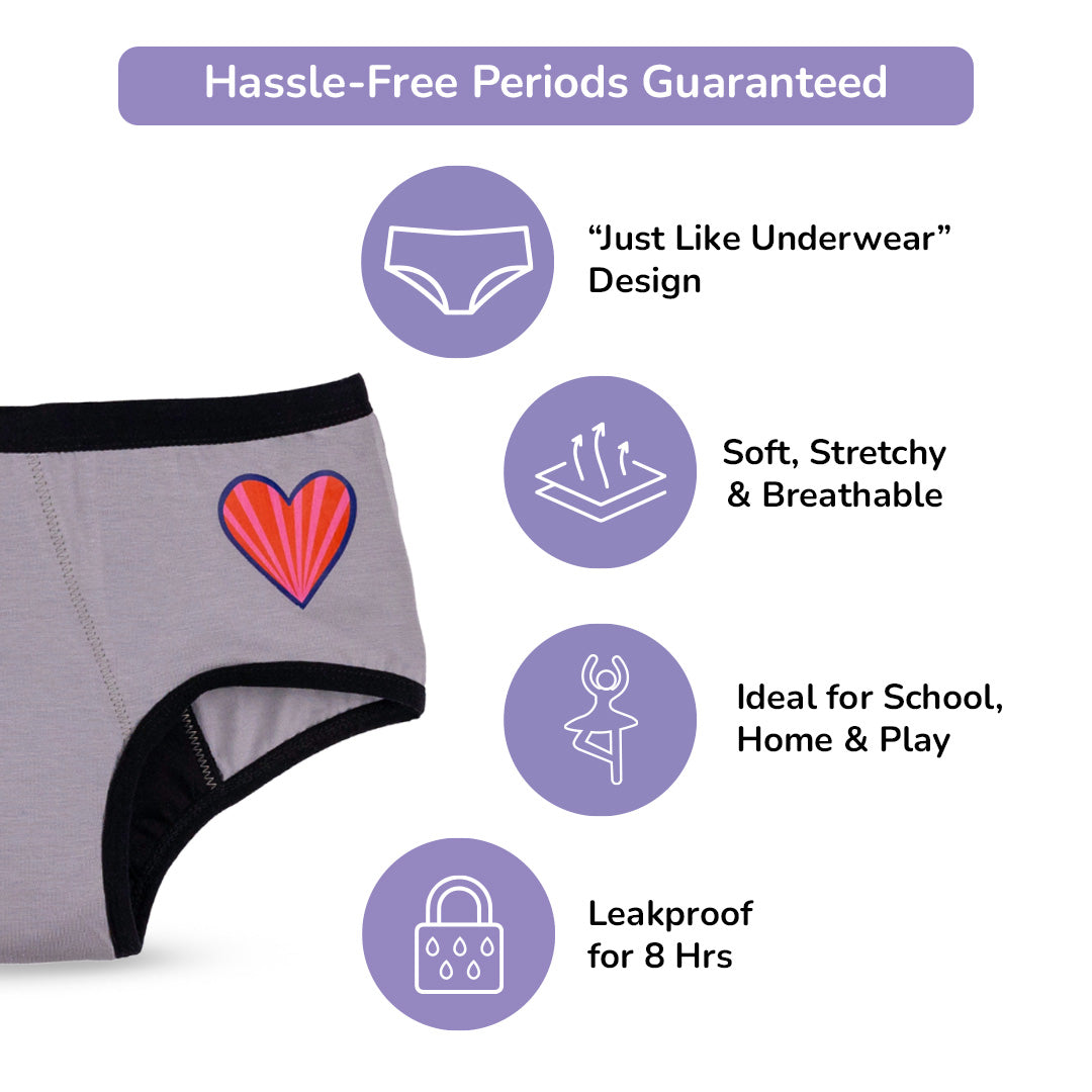 Red & Grey 2-Pack Reusable Period Panty (Heavy Flow)