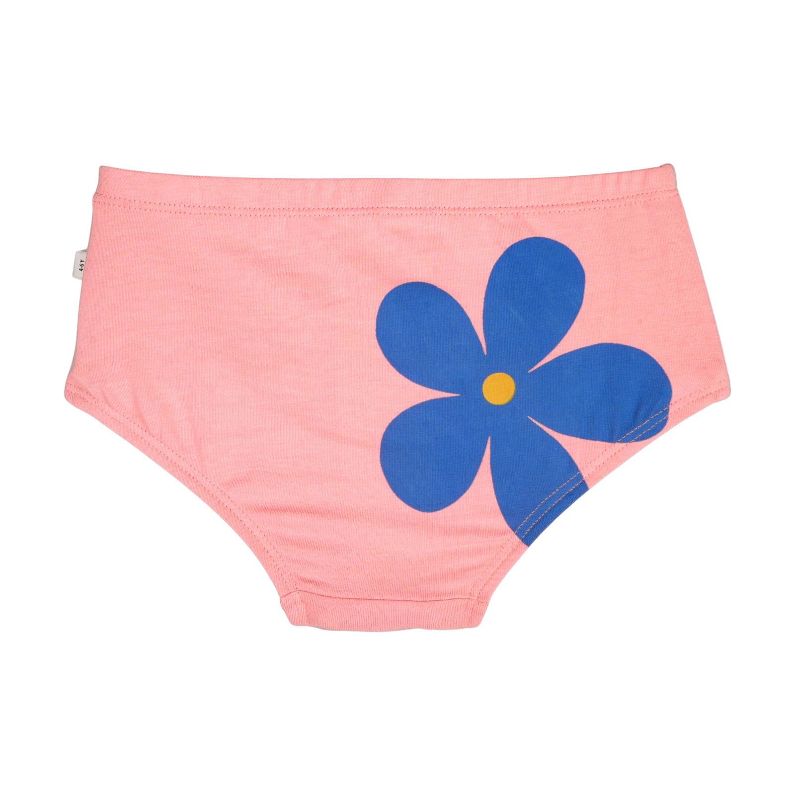 Flower Garden 3-Pack Hipsters