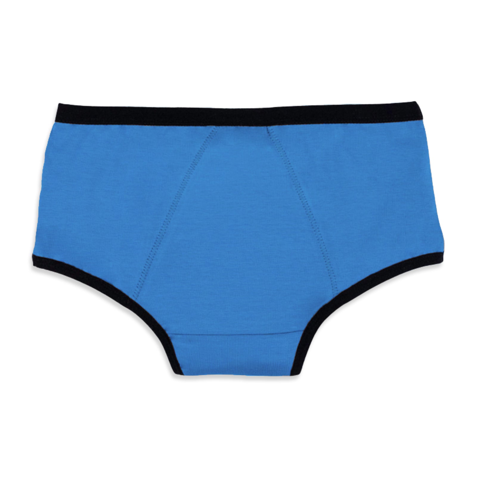 Blue & Black 2-Pack Reusable Period Panty (Heavy Flow)