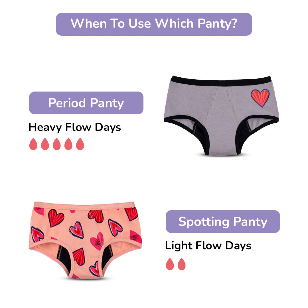 Red & Grey 2-Pack Reusable Period Panty (Heavy Flow)
