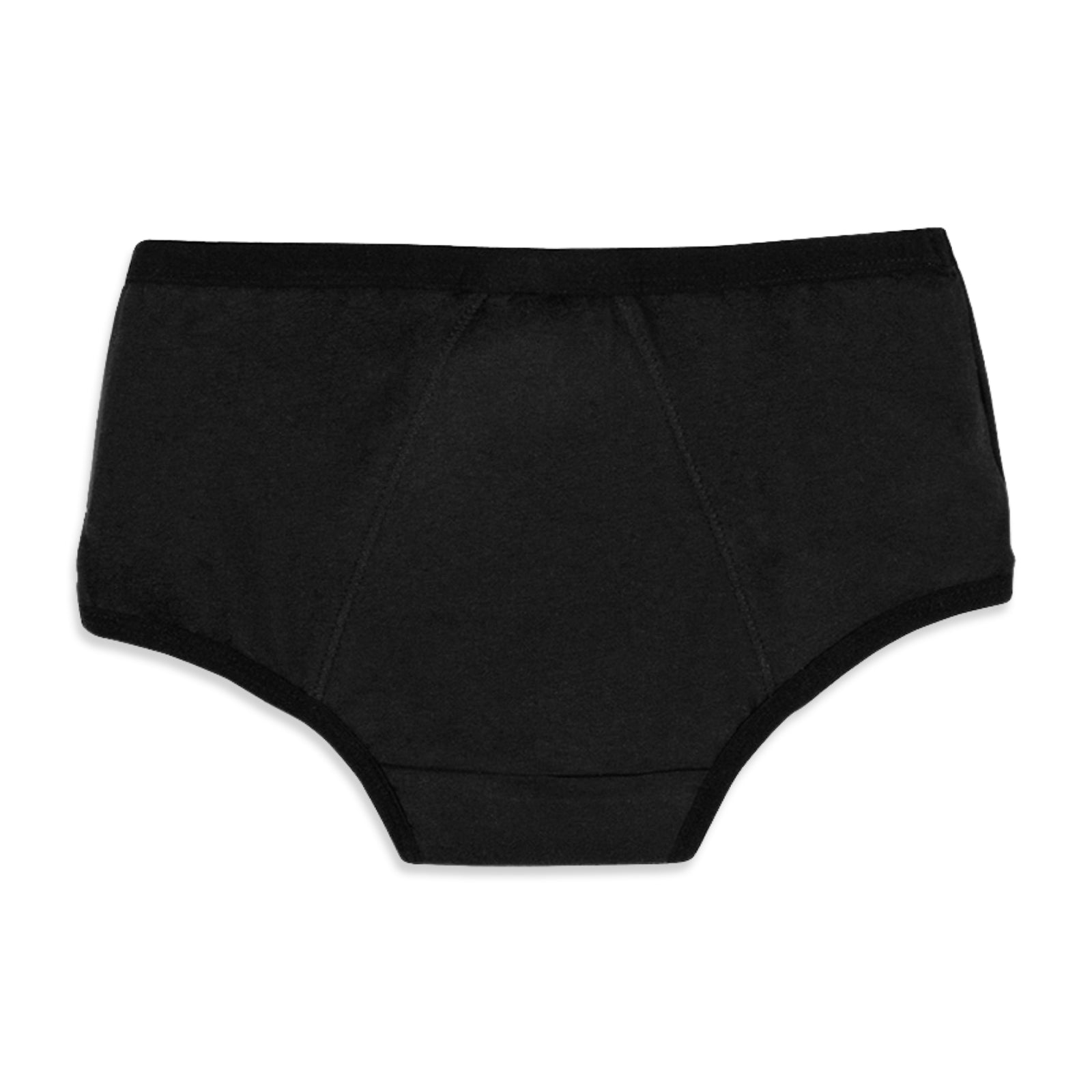 Blue & Black 2-Pack Reusable Period Panty (Heavy Flow)