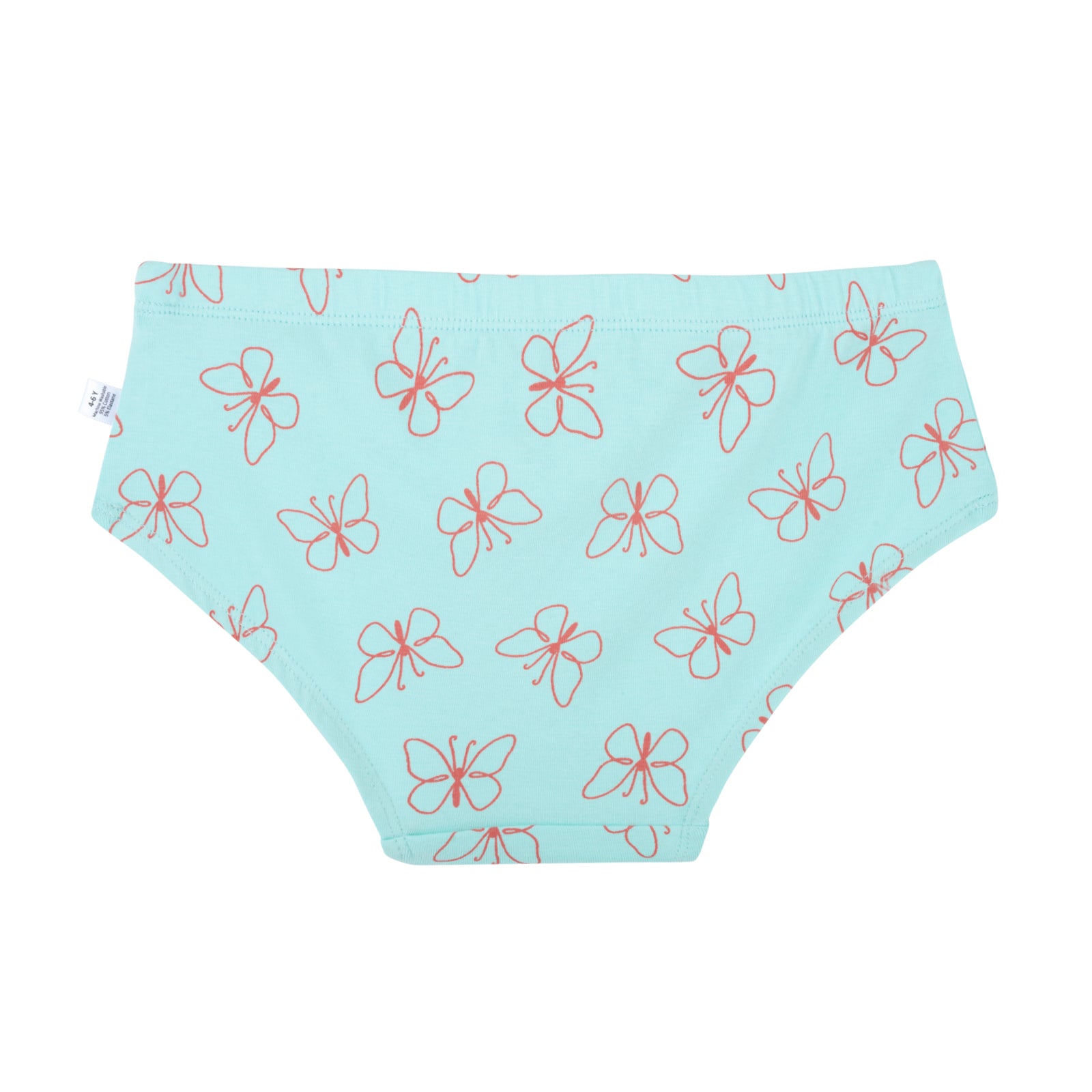 Mint Butterflies Hipster