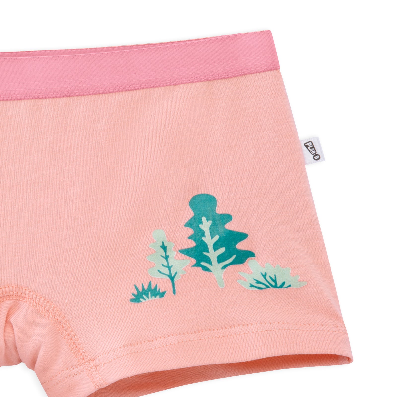 Dino 3-Pack Preteen Trunks