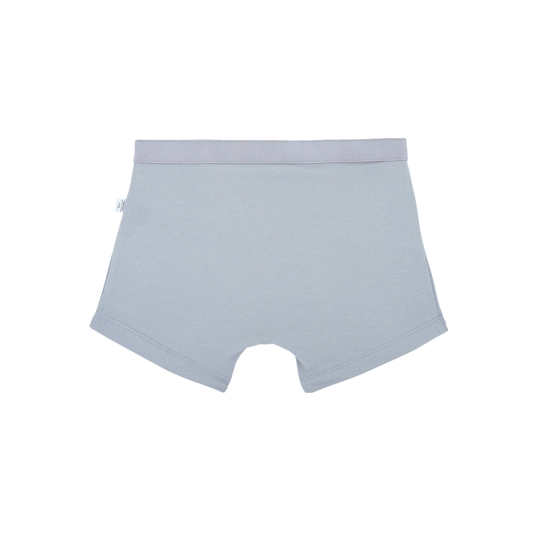 Grey Trunk & Vest Set