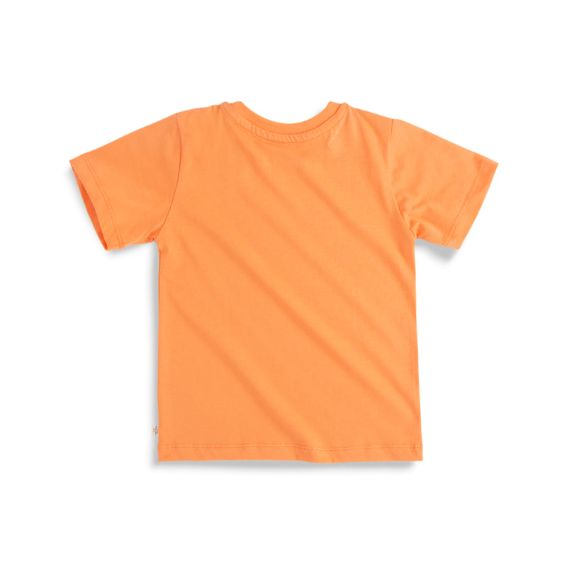 Softies - Set of 3 Boy Tees