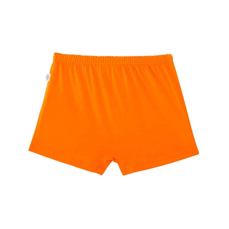 Mixed Bag 6-Pack Boy Boxers