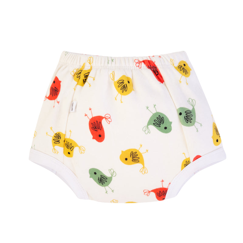 Padded Underwear for Potty Training - 4pack - Birds & Bees