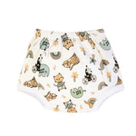 Padded Underwear for Potty Training - 4pack - Birds & Bees