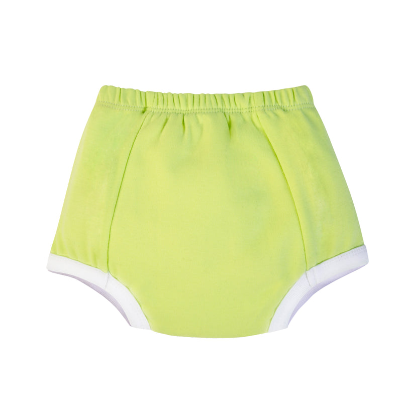 Padded Underwear for Potty Training - 4pack - Birds & Bees