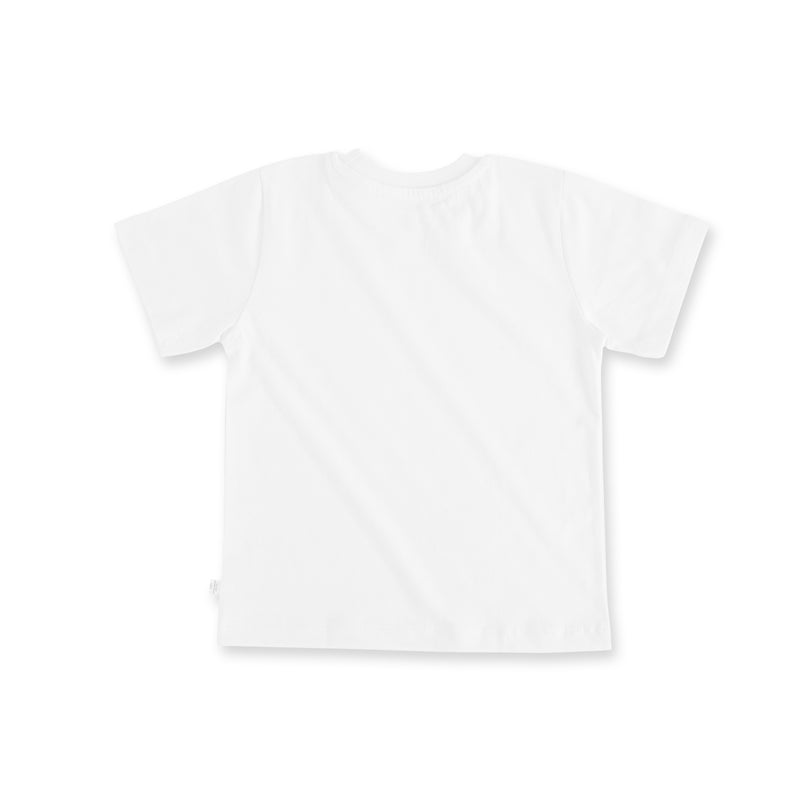 Basics - Set Of 3 Boy Tees
