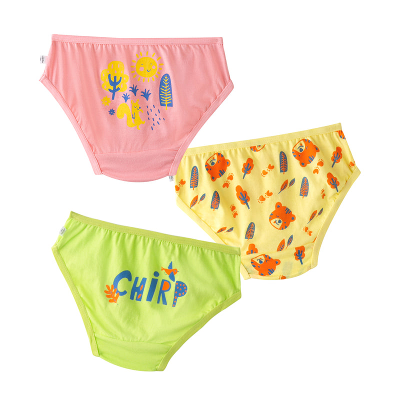 Outback 3-Pack Panties