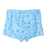 Shapes 6-Pack Boy Boxers
